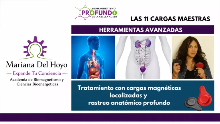 Tratamiento con Cargas Magnéticas Localizadas y Rastreo Anatómico Profundo (Grabado)