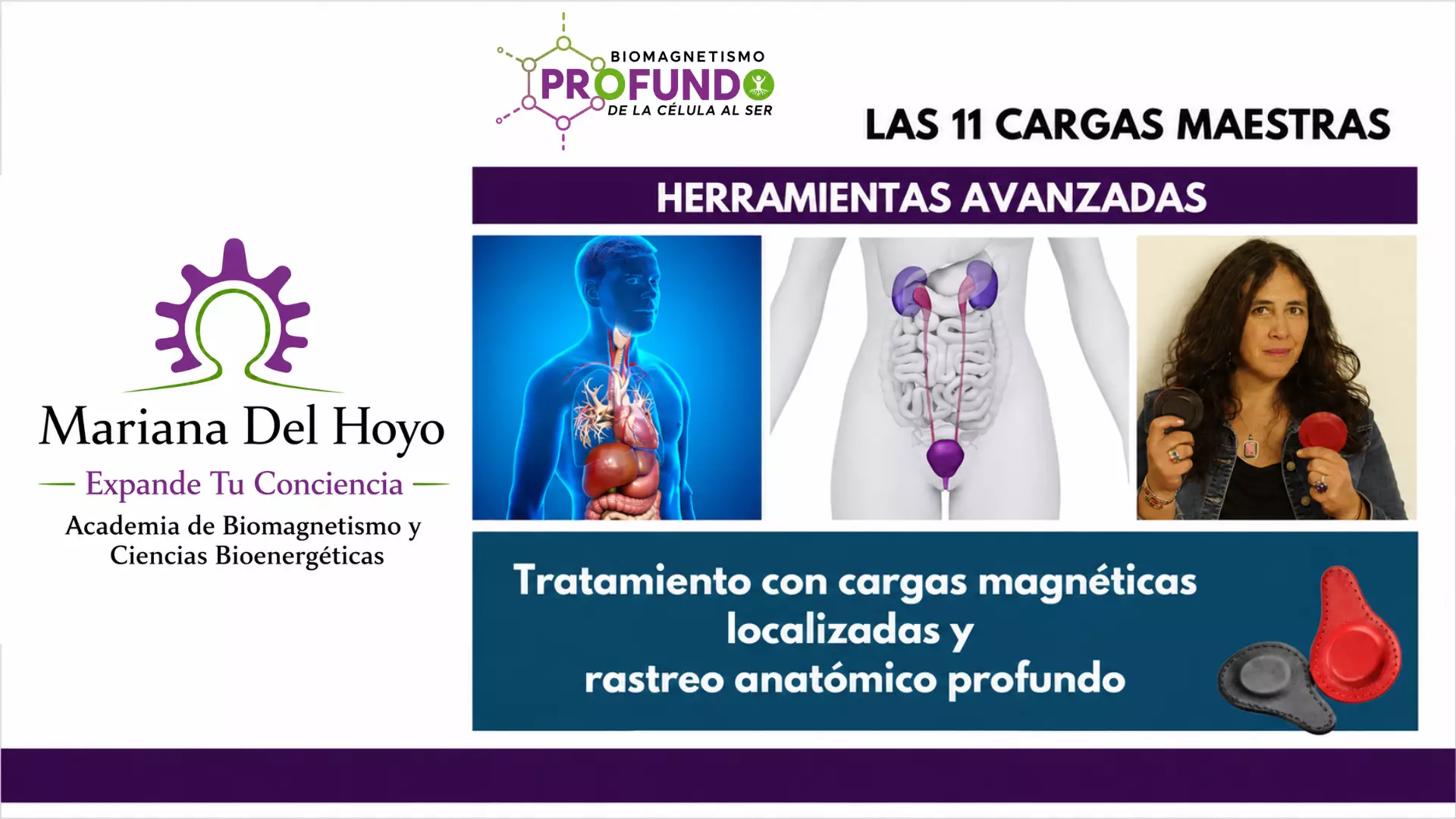 Tratamiento con Cargas Magnéticas Localizadas y Rastreo Anatómico Profundo (Grabado)